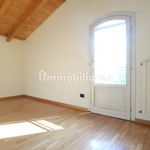 Rent 3 bedroom apartment of 105 m² in Mantova