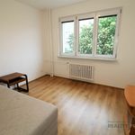 Rent 2 bedroom apartment in Brno