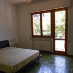 Affitto 6 camera appartamento di 110 m² in Lucca