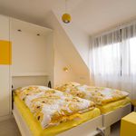 Rent 3 bedroom apartment of 70 m² in Münster
