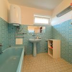 Rent 1 bedroom apartment of 60 m² in Opava