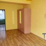 Rent 2 bedroom apartment of 56 m² in Trutnov