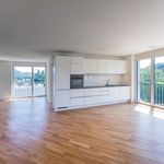 Rent 4 bedroom apartment of 91 m² in Massagno