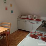 Rent 1 bedroom apartment of 30 m² in Braunschweig