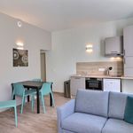 Rent 2 bedroom apartment of 37 m² in Albi