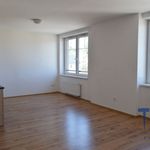 Rent 2 bedroom apartment of 63 m² in Hořice