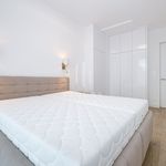Rent 2 bedroom apartment of 77 m² in Staré Město