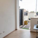 Rent 1 bedroom apartment in Ciampino