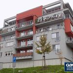 Rent 2 bedroom apartment of 57 m² in Ostrava