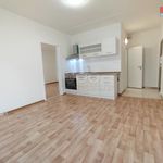 Rent 1 bedroom apartment of 41 m² in Sokolov