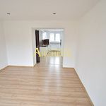 Rent 2 bedroom apartment of 52 m² in Brno