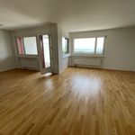 Rent 4 bedroom apartment in Richterswil