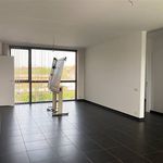 Rent 3 bedroom apartment in Turnhout