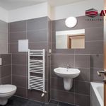 Rent 1 bedroom apartment of 35 m² in Opava