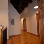 Rent 5 bedroom apartment of 1800 m² in Chicago