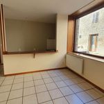 Rent 2 bedroom apartment of 50 m² in Sauviat-sur-Vige