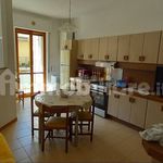 Affitto 5 camera appartamento di 150 m² in Pescara