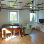Rent 2 bedroom apartment of 64 m² in Luže