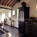 Rent 1 bedroom house of 62 m² in Siena