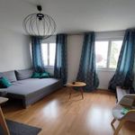  appartement avec 1 chambre(s) en location à Clermont-Ferrand