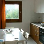 Affitto 4 camera appartamento di 65 m² in Trinità d'Agultu e Vignola