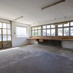 Rent 6 bedroom apartment of 194 m² in Siselen