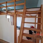 Rent 1 bedroom apartment of 56 m² in Újezd