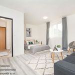 Pronajměte si 1 ložnic/e byt o rozloze 33 m² v Ústí nad Labem
