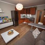 Rent 2 bedroom apartment of 38 m² in Prague