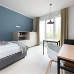 Rent 1 bedroom apartment of 22 m² in Leipzig
