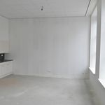 Huur 1 slaapkamer appartement van 60 m² in Winschoten