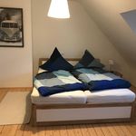 Miete 2 Schlafzimmer wohnung von 42 m² in Vellmar