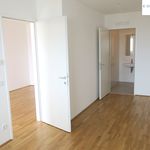 Rent 2 bedroom apartment of 54 m² in Sankt Pölten