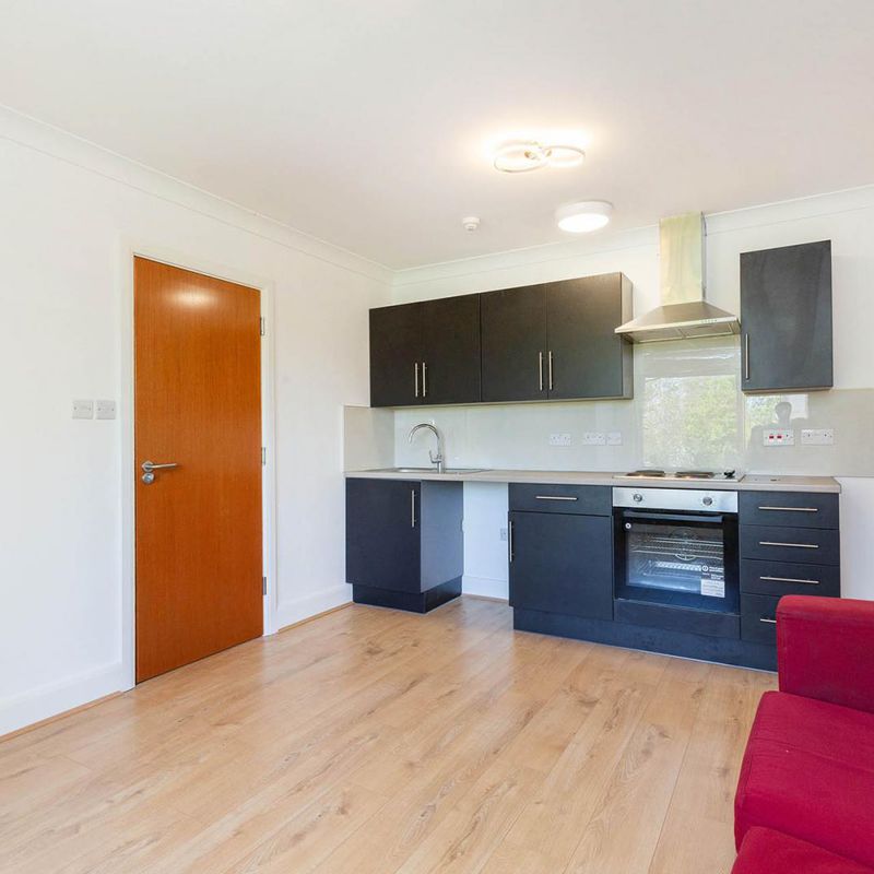 Newly Renovated Property West Hampstead