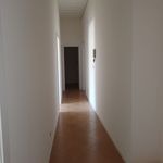 Rent 4 bedroom apartment of 150 m² in Catania
