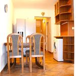 Rent 3 bedroom apartment of 69 m² in Budweis