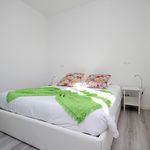Rent 2 bedroom apartment of 120 m² in Funchal