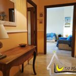 Rent 3 bedroom apartment of 90 m² in Sabaudia