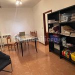 Rent 4 bedroom apartment of 107 m² in Bologna