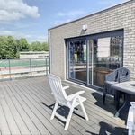 Rent 1 bedroom apartment of 75 m² in Evere