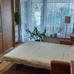 Rent a room of 60 m² in Praha