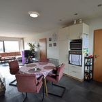 Rent 3 bedroom apartment in Waarschoot