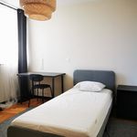 Rent 8 bedroom house in Porto