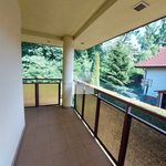 Rent 5 bedroom house of 175 m² in Szczecin