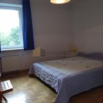 Rent 4 bedroom apartment of 118 m² in Śródmieście