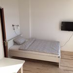 Rent 1 bedroom apartment of 27 m² in Wiesbaden