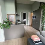 Rent 2 bedroom apartment of 50 m² in 's-Hertogenbosch