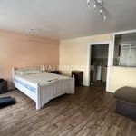Rent 1 bedroom apartment of 33 m² in Épinal