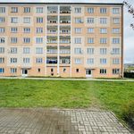 Rent 1 bedroom apartment in Sokolov