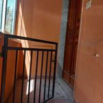 Rent 4 bedroom apartment of 60 m² in Cirò